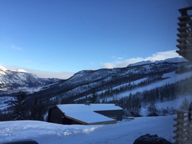 Skarsnuten Panorama 14 Hemsedal Dış mekan fotoğraf